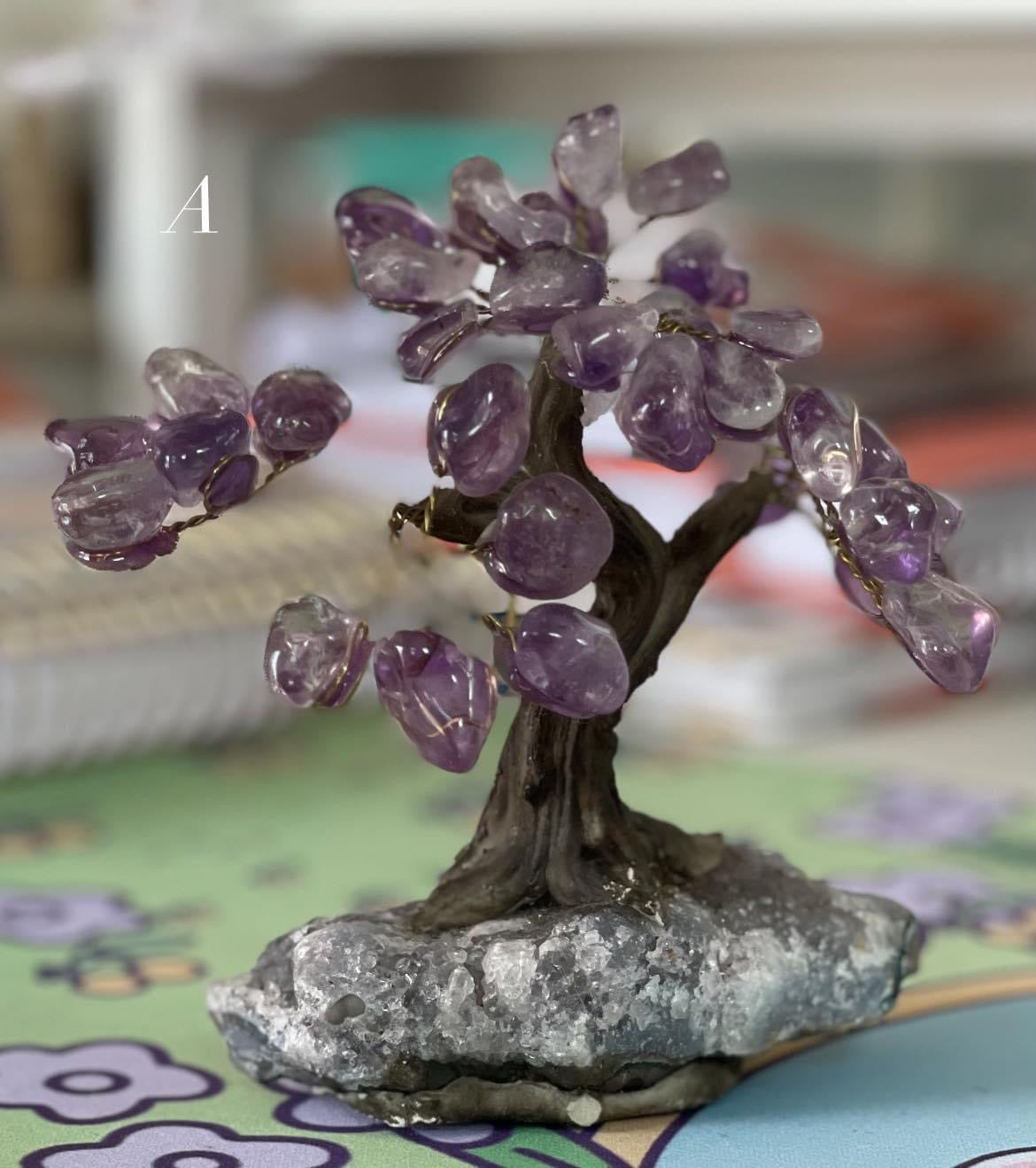 Mystery Crystal Box